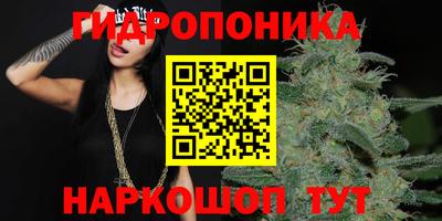 ПСИЛОЦИБИНОВЫЕ ГРИБЫ Гусев