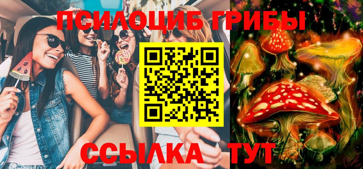 Псилоцибиновые грибы Psilocybine cubensis  Вход с VPN  Краснокамск 